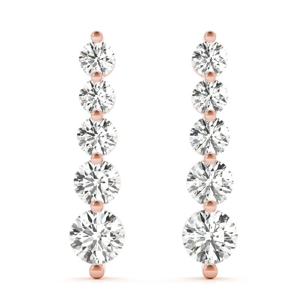 Journey Drop Earrings