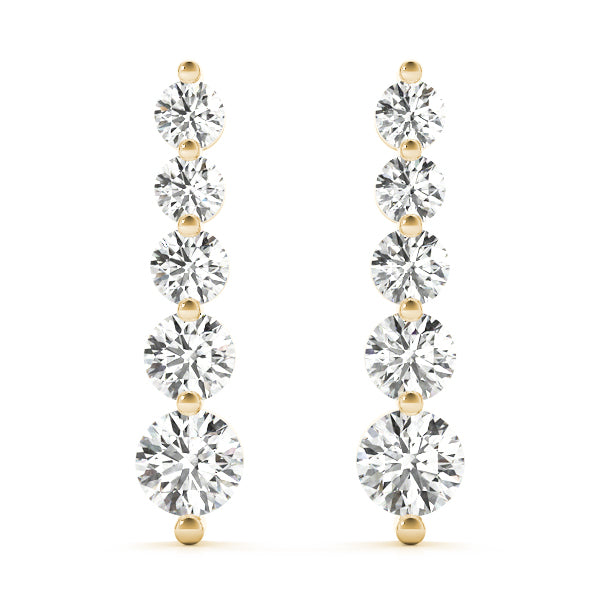 Journey Drop Earrings