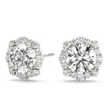 Floral Halo Studs Earrings