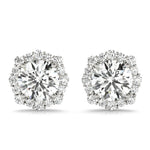 Floral Halo Studs Earrings