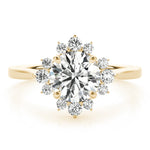 Round Scattered Halo Engagement Ring