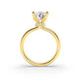 3.25CTW Elongated Cushion Shaped Lab Grown Diamond (F/VS) Hidden Halo Plain Shank Engagement Ring in 14K Gold