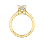 1CTW Elongated Cushion Shaped Lab Grown Diamond (F/VS) Hidden Halo Cathedral Shank Engagement Ring in 14K Gold