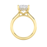 4CTW Princess Shaped Lab Grown Diamond (F/VS) Ring in 14K Yellow Gold
