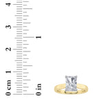 3CTW Radiant Shaped Lab Grown Diamond (F/VVS) Hidden Halo Cathedral Shank Engagement Ring in 14K Gold