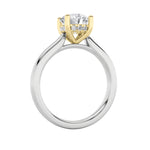 3CTW Round Shaped Lab Grown Diamond (F/VS) Hidden Halo Cathedral Shank Engagement Ring in 14K Gold