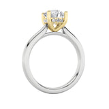 3CTW Round Shaped Lab Grown Diamond (F/VS) Hidden Halo Cathedral Shank Engagement Ring in 14K Gold