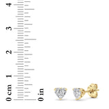 KJ01562E.HS-1-62F
