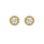 2CTW Round Shaped Lab Grown Diamond (F/VS) Stud Earrings in 14K Gold